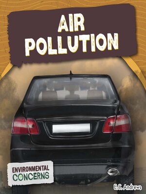 cover image of Air Pollution